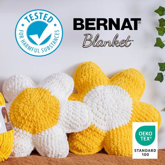 2 Pack Bernat® Blanket™ BB™ Yarn